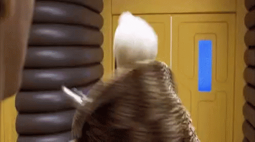 fifth-element-ruby-rhod-unbelievable.gif