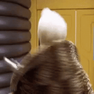 fifth-element-ruby-rhod-unbelievable