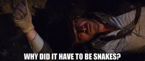 indiana-jones-why-did-it-have-to-be-snakes.gif