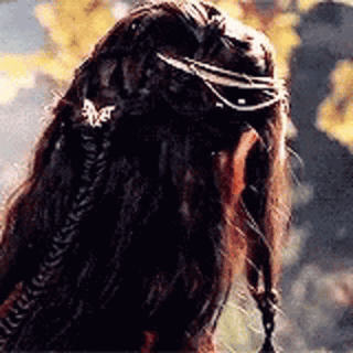lotr-elrond