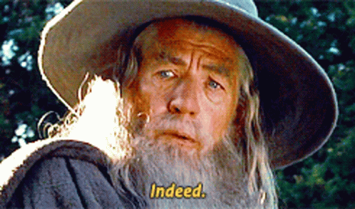 lotr-gandalf-indeed.gif