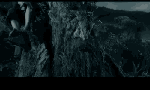 lotr-treebeard.gif