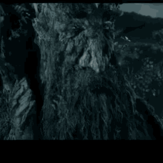 lotr-treebeard