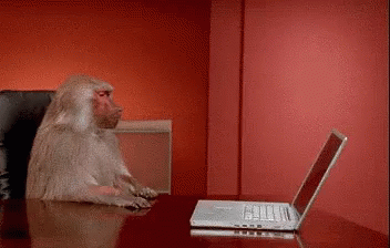 monkey-laptop-toss.gif