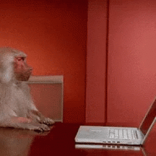 monkey-laptop-toss