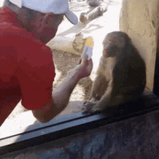 monkey-trick