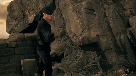 princess-bride-lightsabers.gif