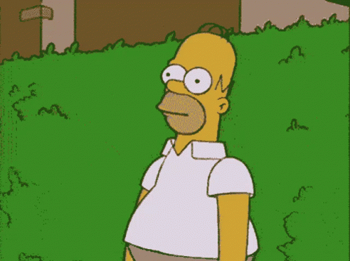 simpsons-homer-simpson-hide.gif