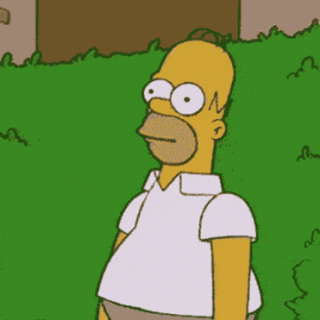 simpsons-homer-simpson-hide