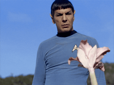 star-trek-spock-flower.gif