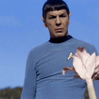 star-trek-spock-flower