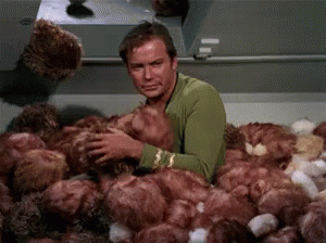 star-trek-tribbles.gif