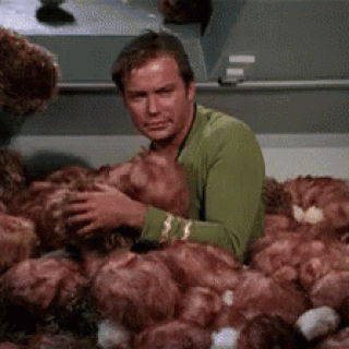 star-trek-tribbles