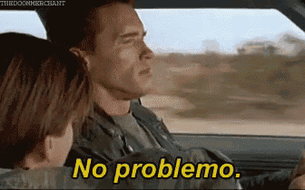 terminator-no-problemo.gif