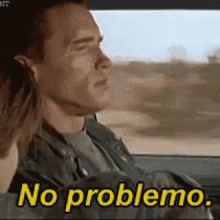 terminator-no-problemo