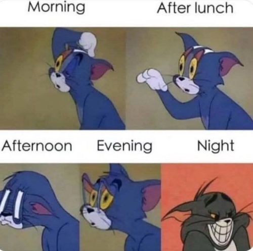 image36b1ae5b5d0d0cb2.png