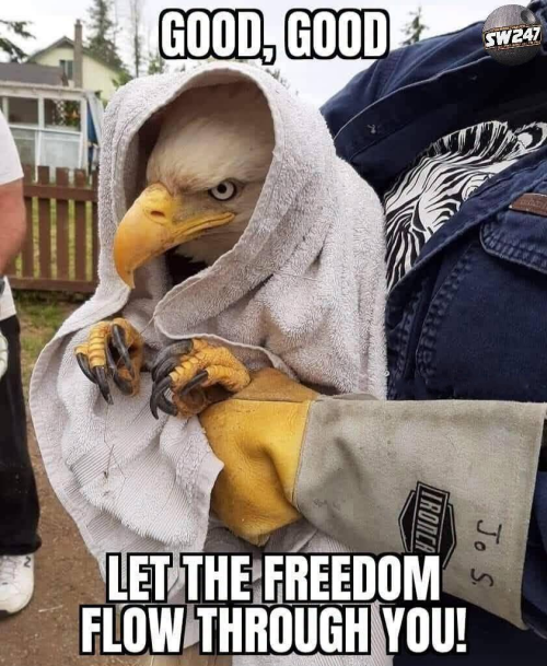 image584cc6bb95848e56.png