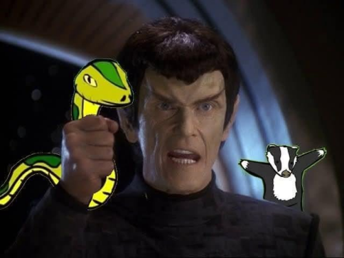 image8774fa50ecbb9287.png