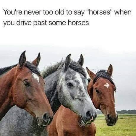 imagedd1af9d2b7083ae1.png