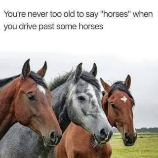 imagedd1af9d2b7083ae1